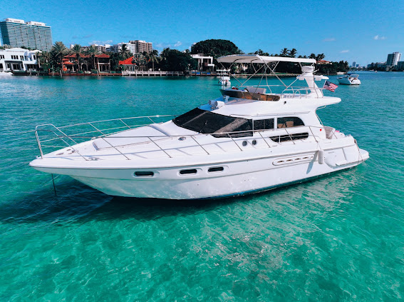 50ft sealine "VICE I" (Rental)